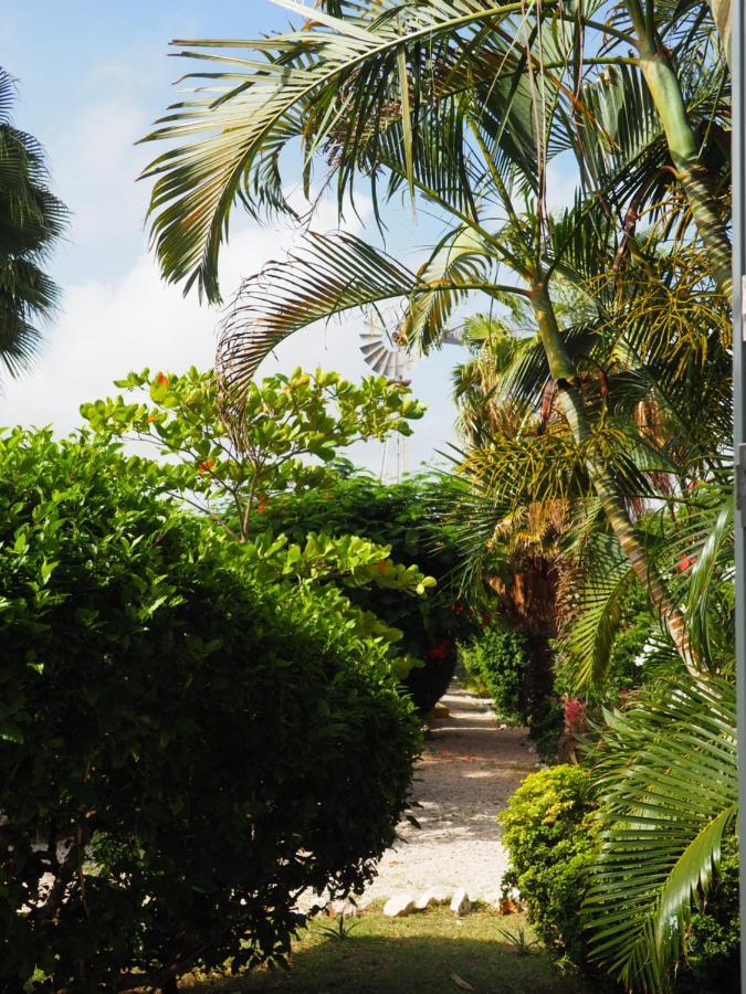 Kas Di Bami A-186 Op Seru Coral Resort - Ruim Appartement Met Groot Zwembad En Tropische Tuin Willemstad Exterior photo